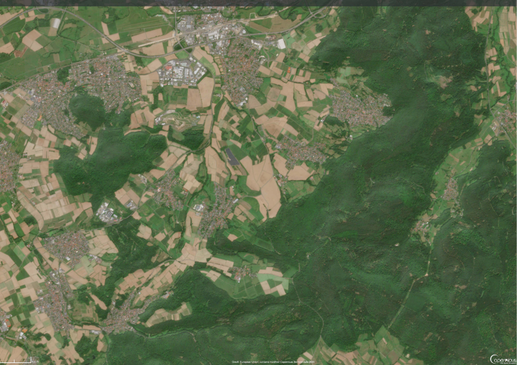 Linsengericht